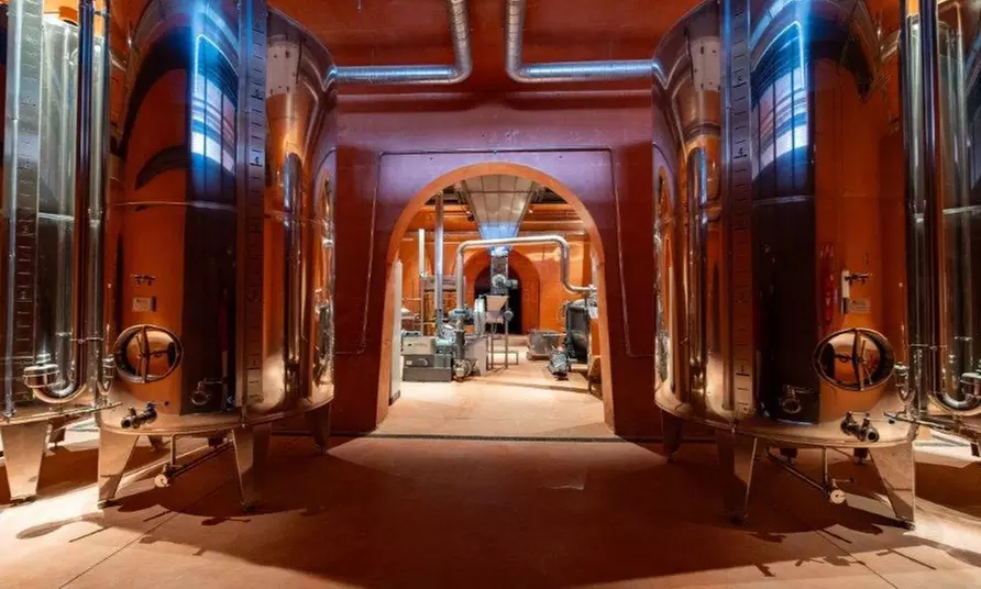 Entradas al Museo del AOVE con visita al olivar y cata de aceites