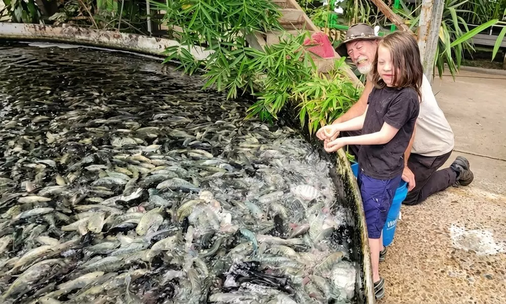 Colorado Gators Reptile Park Admissions for Adult or Children – Mosca