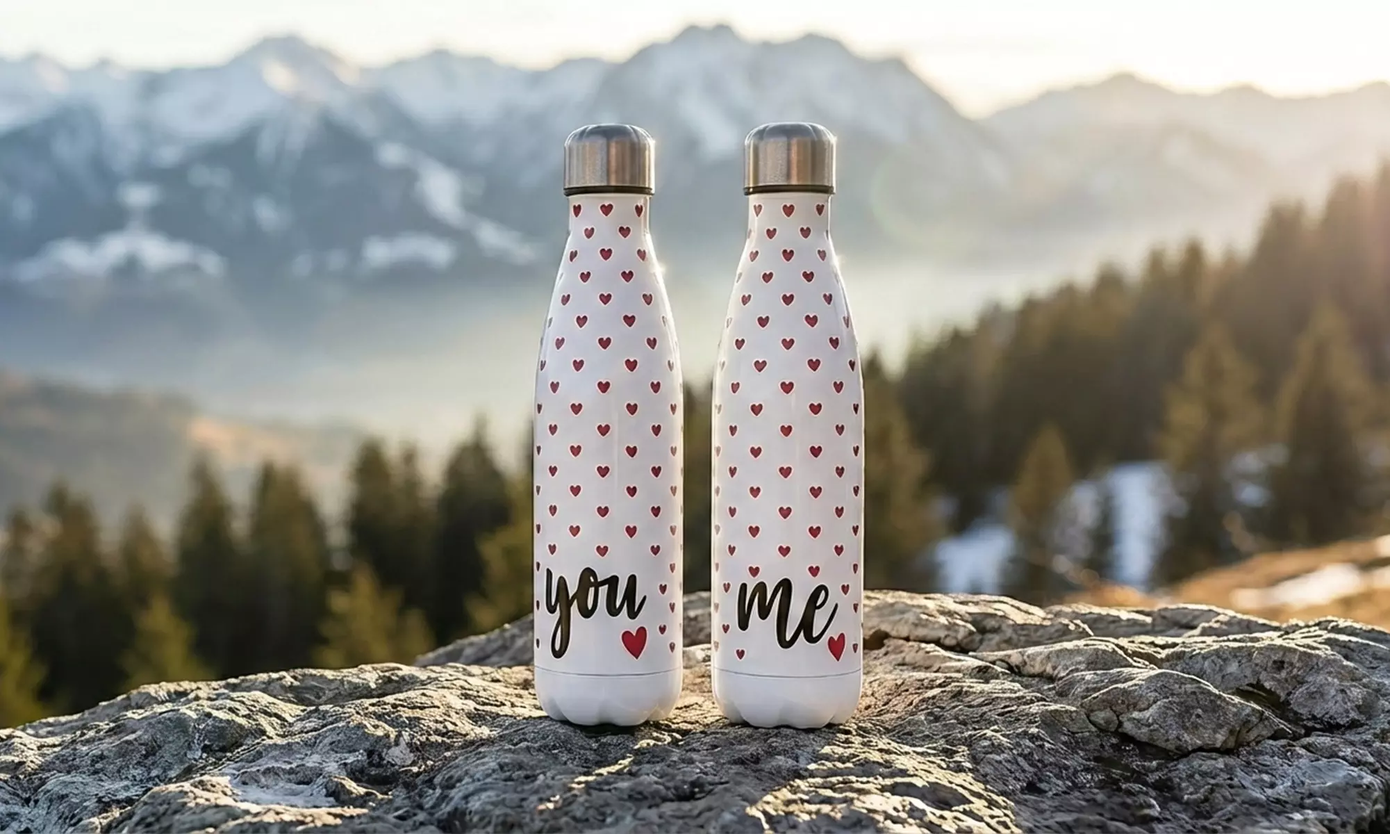 Ensemble de 2 bouteilles thermiques 500 ml