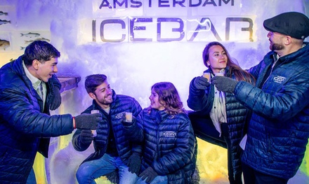 Skip-the-Line-Ticket für die "Eisbar" in Amsterdam für 1 Person - Icebar Amsterdam