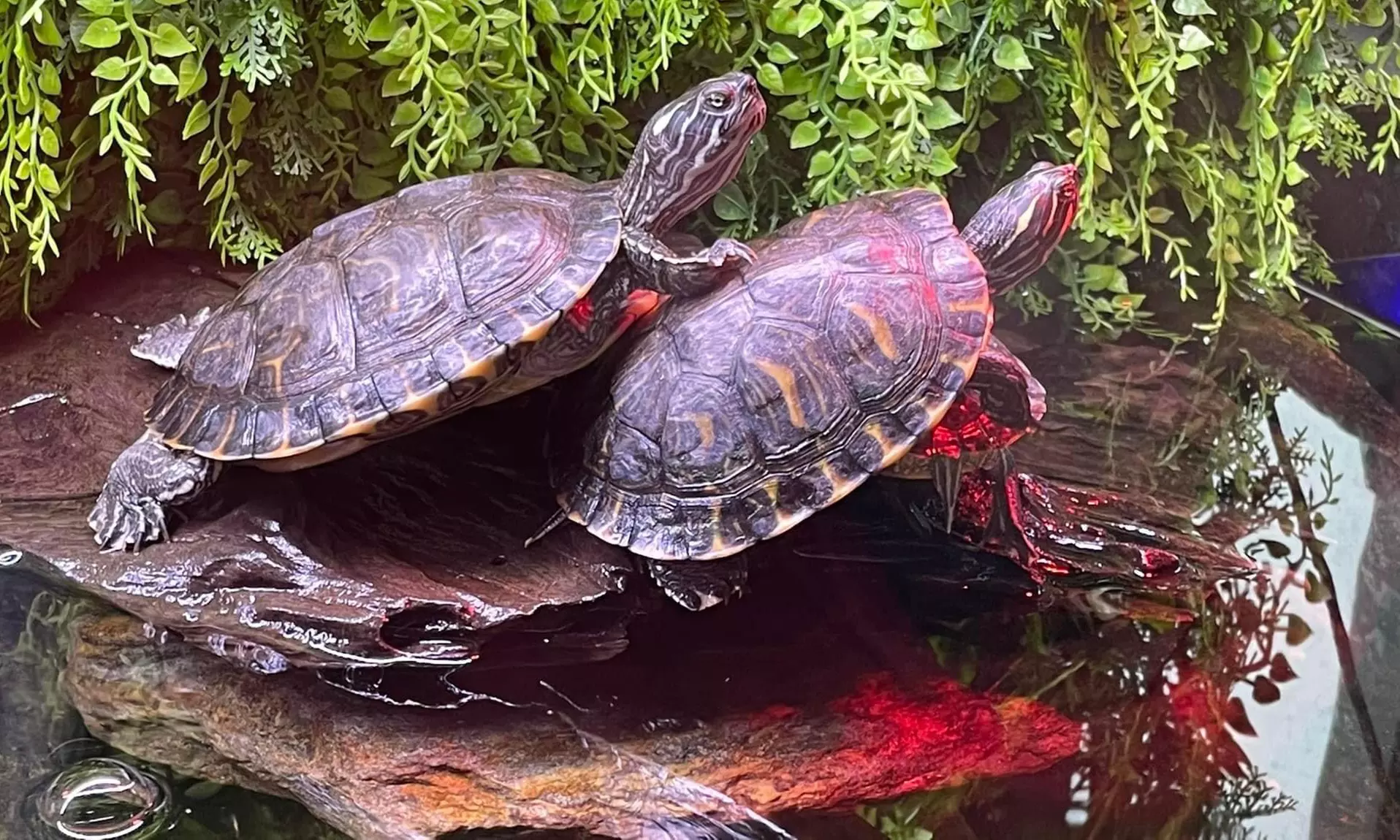 Entrée pour la Maison de la Pêche et de la Nature de Levallois