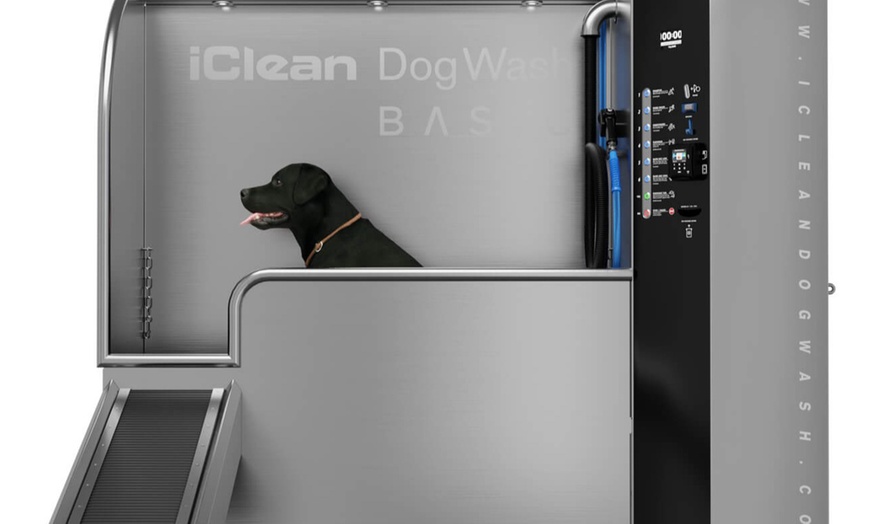 Image 1: Lavage chiens simple ou en duo chez Tom And Co Sartrouville