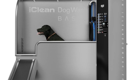 Lavage simple