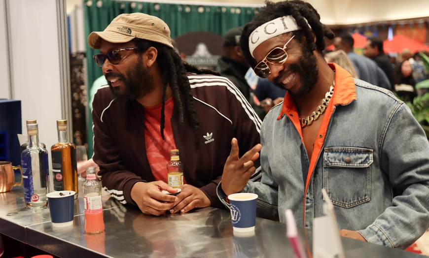 Image 5: Two or Four Festival Tickets for The Drinks Village with Masterclasses