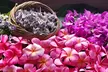 Craft, Create, and Design: Hawaiian Lei Making, Shell Pendant Making or Basket Weaving Class ( Up to 37% Off ) - Second Medium