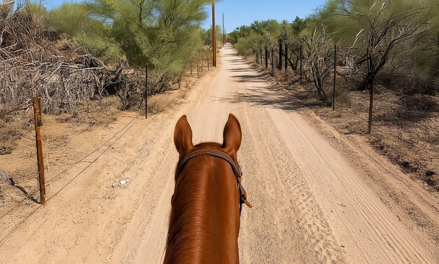 Image 6: Ride on with One or Four Horseback Riding Lessons for One or Two 