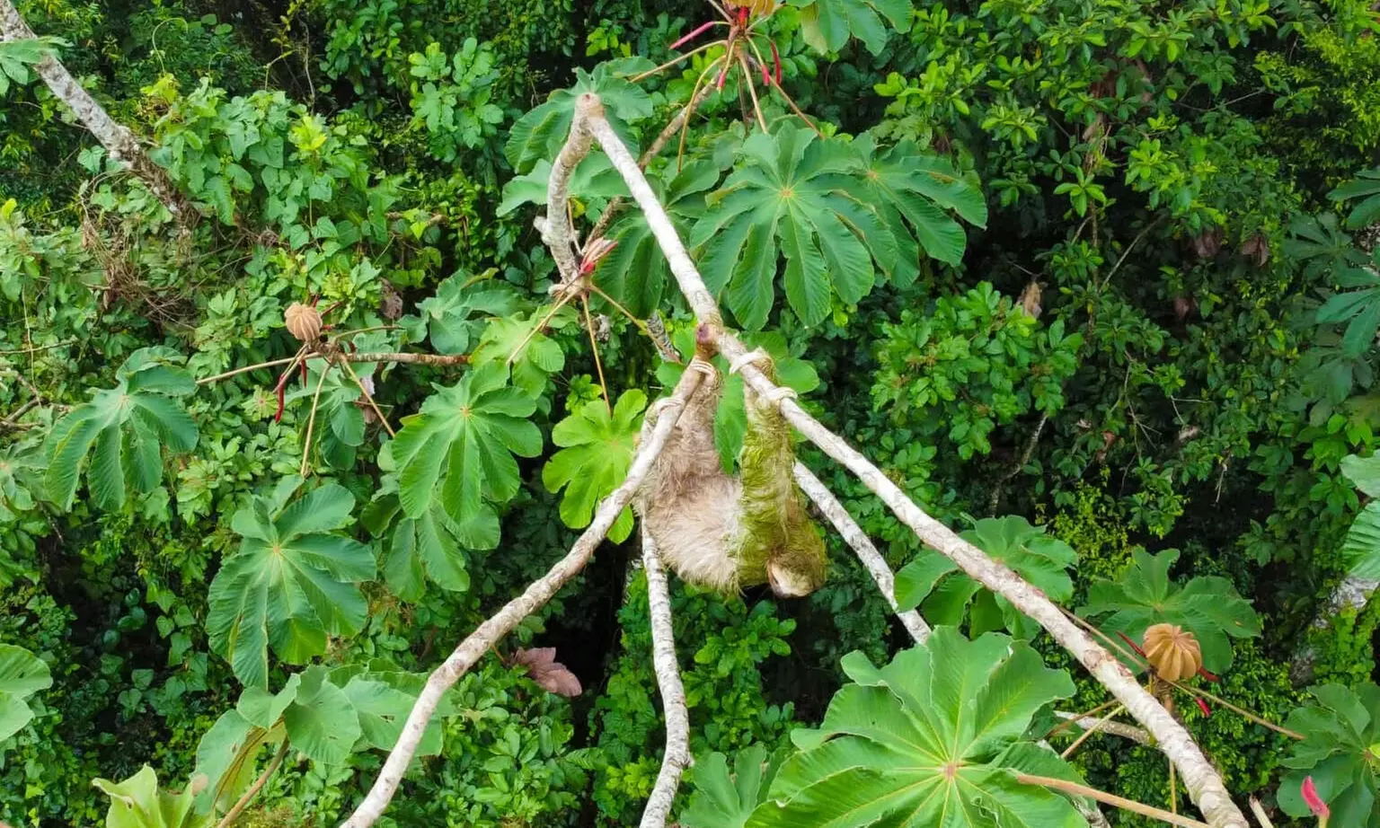 ✈ 4-Nt Costa Rica Getaway w/ Optional Air & Hotels from Travel by Jen