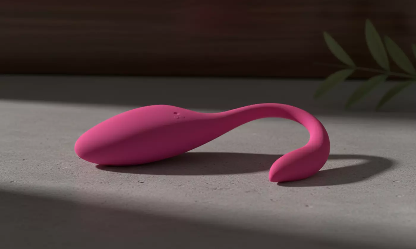 Remote Control Wearable Egg Vibrator G-Spot Massager Adult Sex Toys
