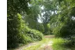 Discover Florida’s Beauty on Horseback: Group or Private Trail Ride for 2, 3, or 4 People (Up to 43% Off) - Second Medium