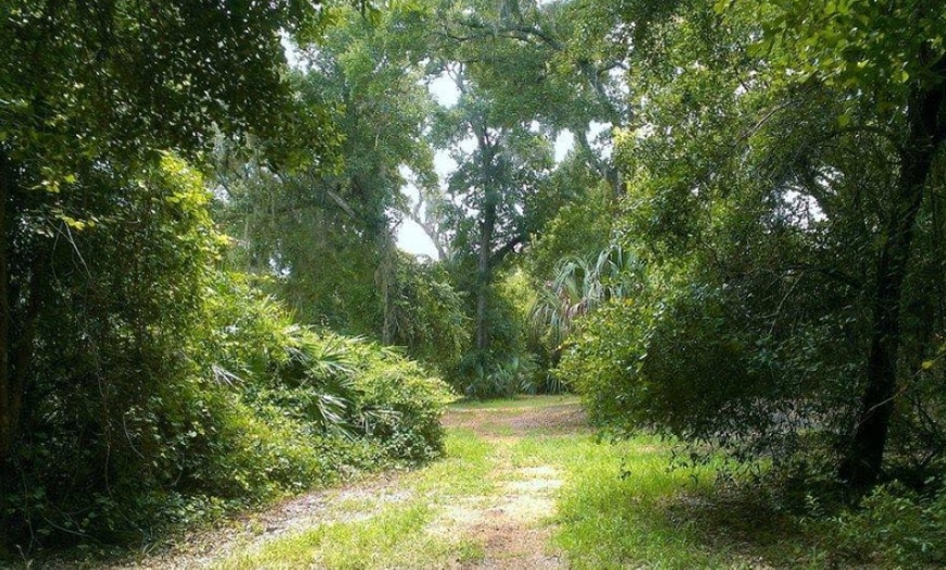 Image 6: Explore Serene Guided Group/Private Horseback Trail Ride for 2, 3 or 4