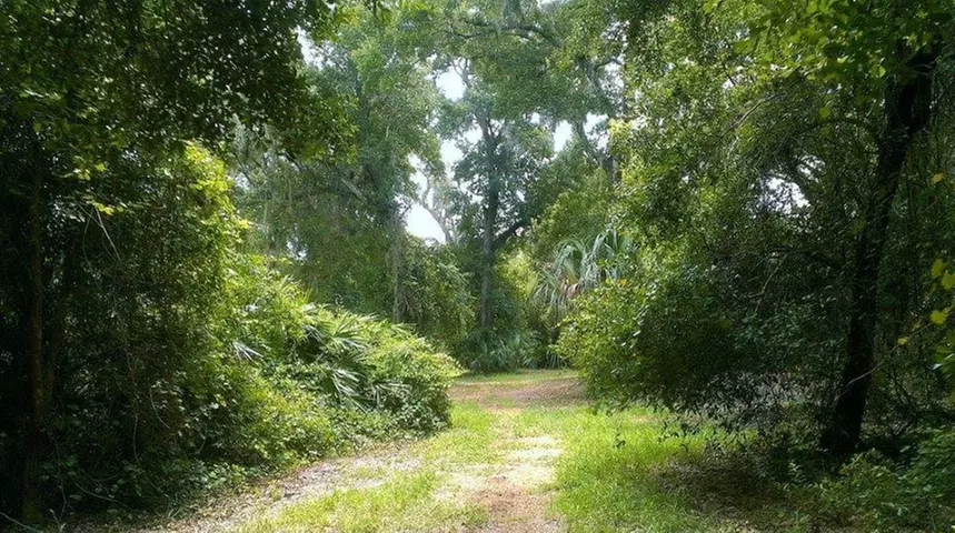 Explore Serene Guided Group/Private Horseback Trail Ride for 2, 3 or 4