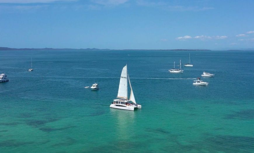 Image 9: Sail Across Gold Coast Broadwater on a 4 Hour Whale Watching Cruise
