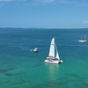 Image 9: Sail Across Gold Coast Broadwater on a 4 Hour Whale Watching Cruise