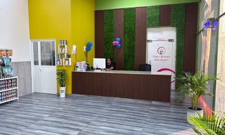 For a Cat : One Night Boarding - Paws Whiskers pets nursery Branch2