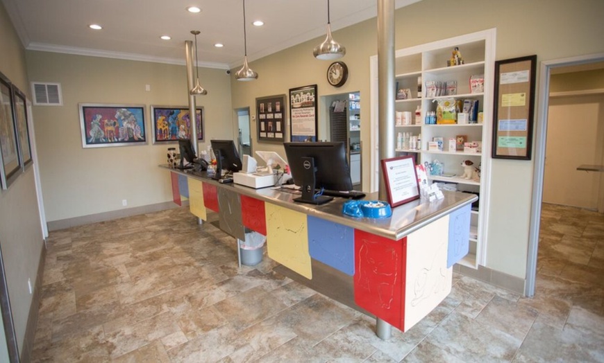 Image 4: 55% Off Comprehensive Pet Exam at Mohnacky Animal Hospital