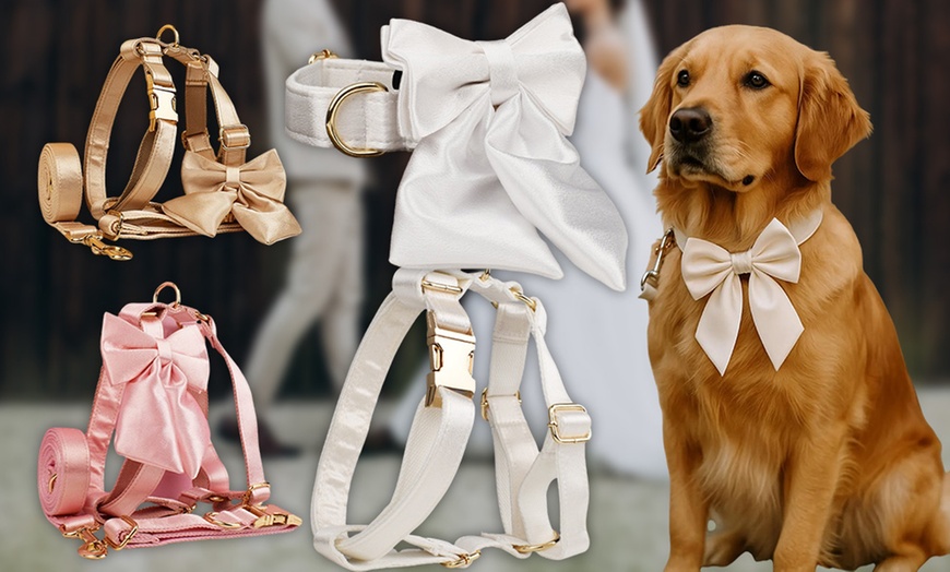 Image 4: Personalisierbares Haustier-Halsband mit integriertem Namensschild