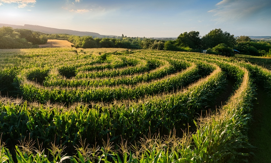 Image 4: Tageskarte für den Erlebnishof Borgholzhausen für 2 oder 4 Personen