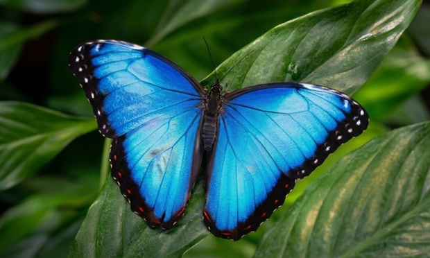 What to expect media