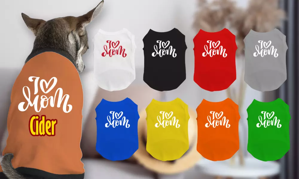 Custom Pet Fashion – Pawsome Style & Comfort Tailored Just for Them