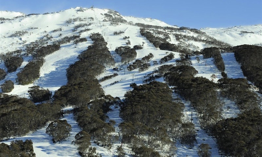 Image 3: Sydney: One-Day Thredbo Snow Tour