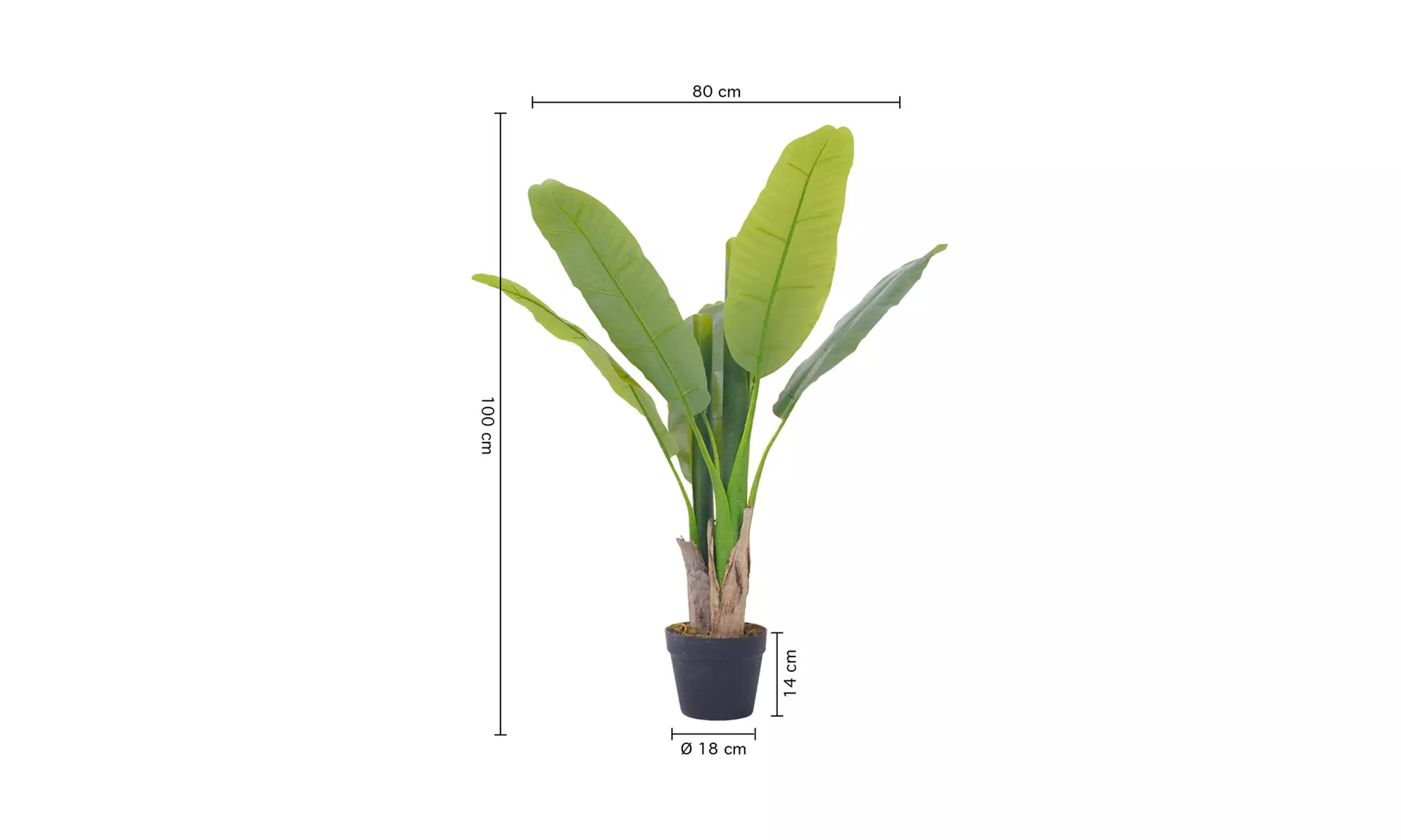 Collezione di piante finte da interno