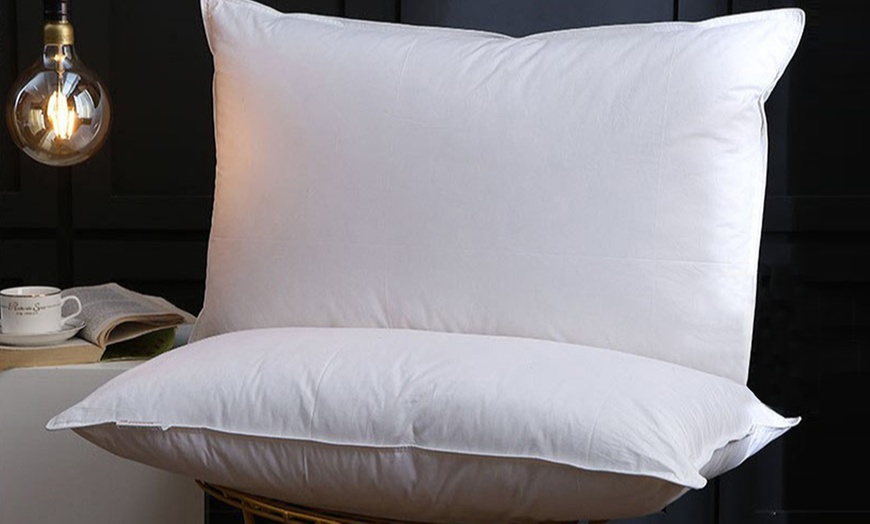 Duck Feather And Down Pillow Groupon