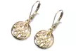 Sterling Silver Lever-Back Celtic Earring - Second Medium