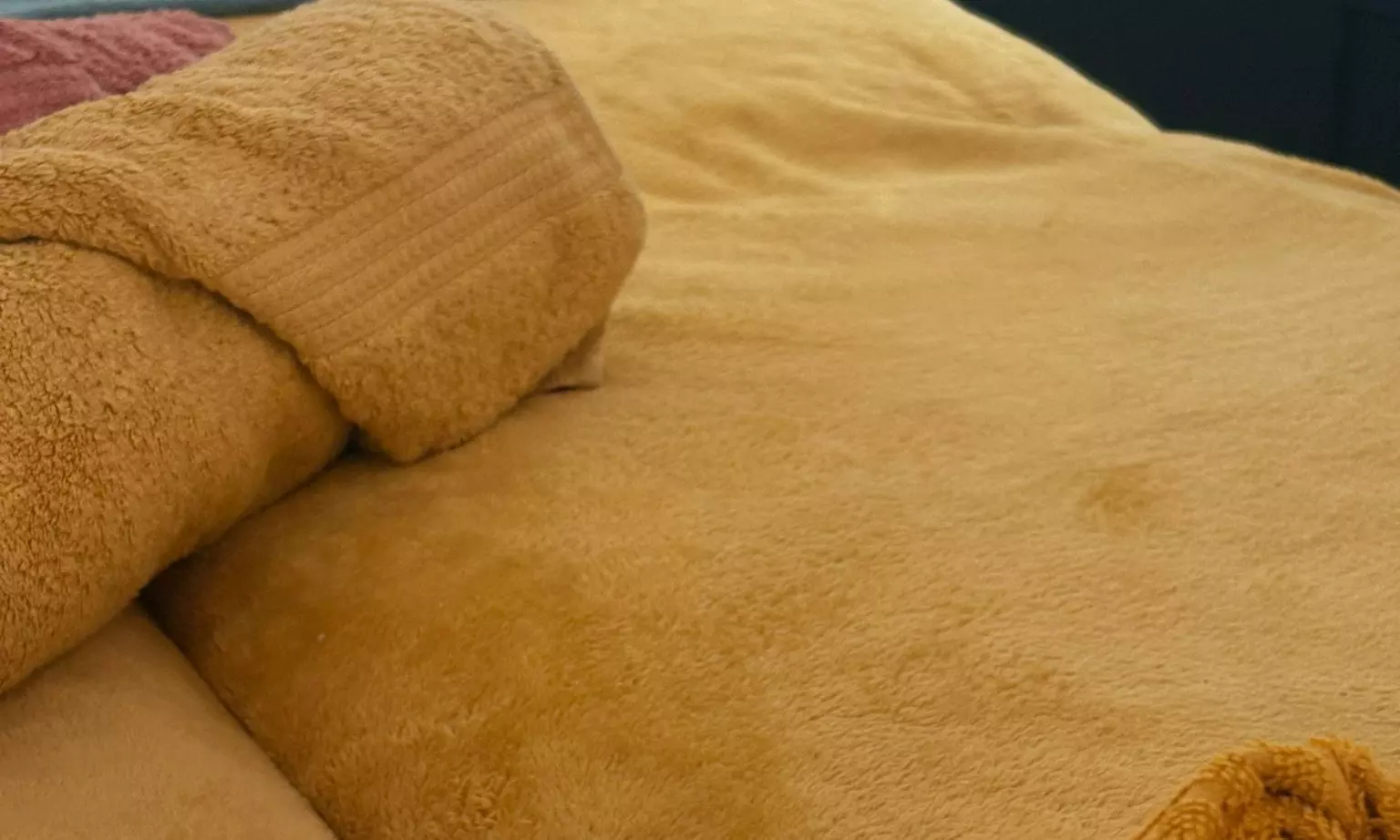 Head spa de 30 o 60 min con minibrunch para 1 o 2 personas