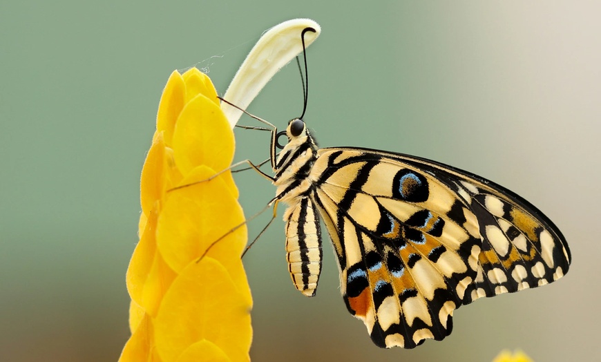 Image 19: ✈ 8-Day Island Escape in Rhodes with Air & Hotel from Worldee