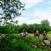Image 1: Horseback Trail Ride Through Hudson Valley (45 Minutes)