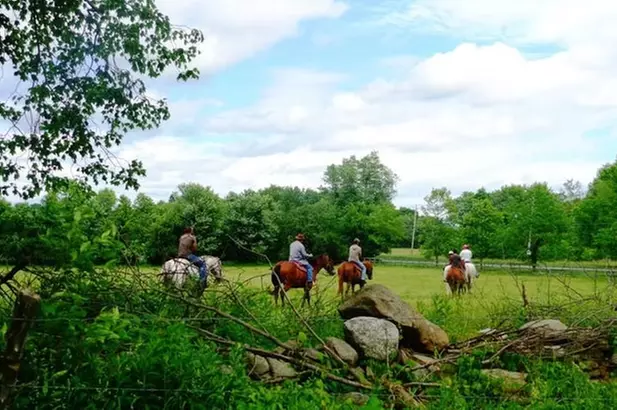 Enjoy a Scenic Horse Back Trail Ride Through Hudson Valley Country