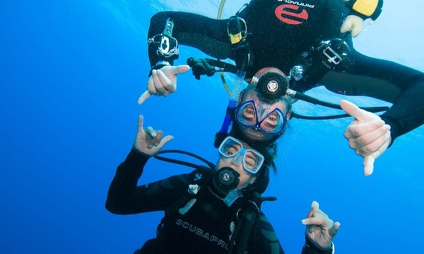 What to expect media