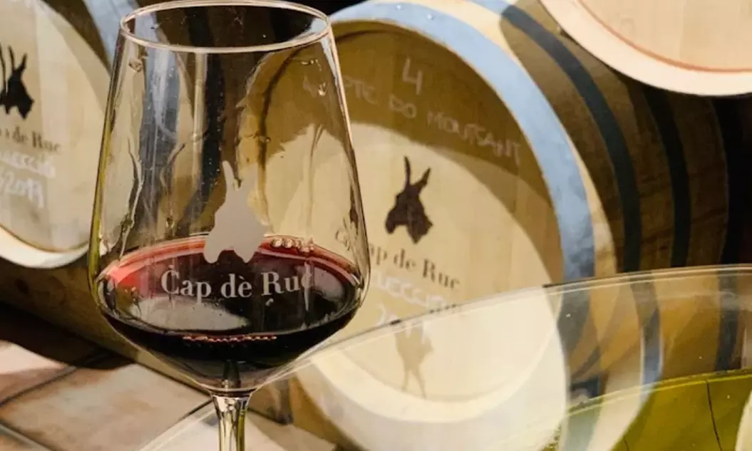 Visita y cata de vinos alta gama