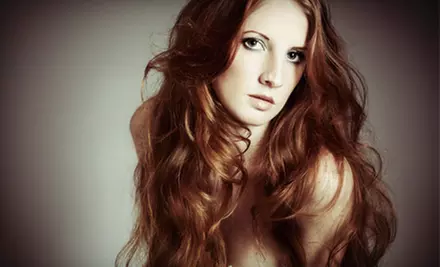 Women's Haircut and Style with Optional Root Touch-Up or Half-Head Highlights at Salon D'Artista and Spa (Up to 55% Off) - Primary Image