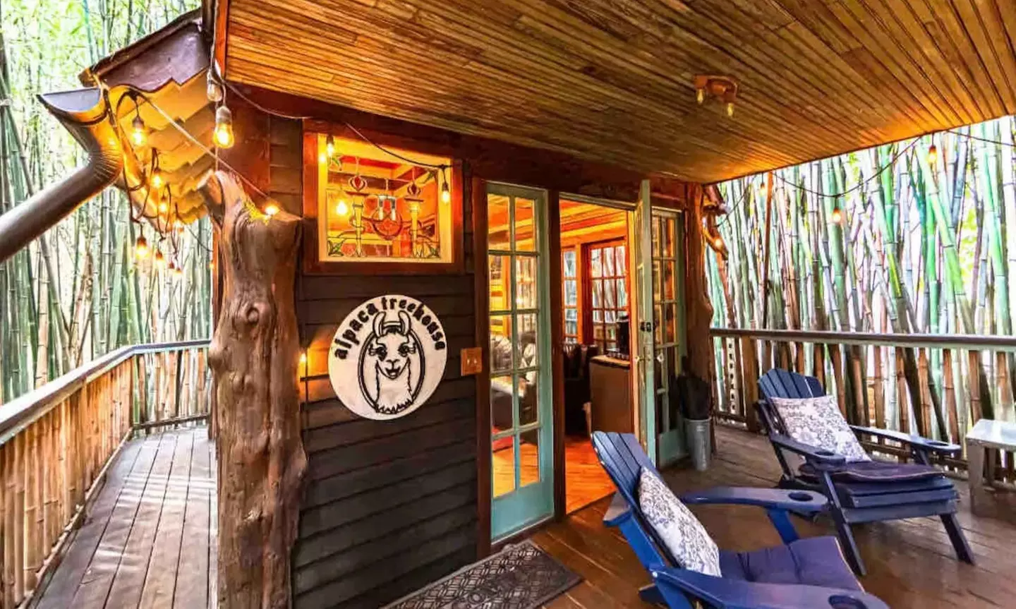 Find Your Zen: 90-Minutes Llama Yoga & Interactive Alpaca & Llama Encounters for 1, 2 or 4 at Atlanta Alpaca Treehouse