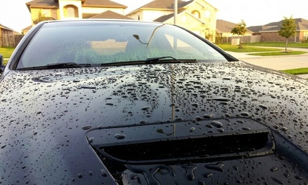 Exterior Detail + Ceramic Spray Sealant — Coupe, Sedan, or Small SUV - White Slate Auto Detailing
