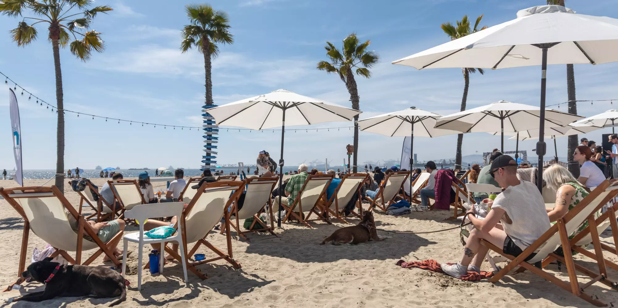 Beachside Fun w/ Sunbed Lounge Packages, Paddle Board Adventures/ More