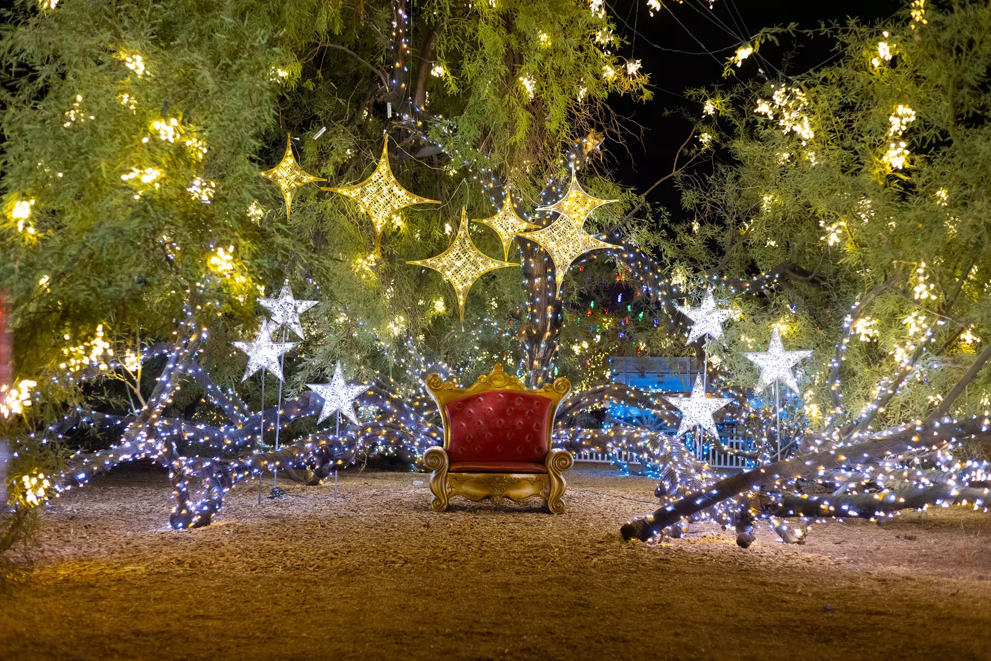Desert Farm Lights - Holiday Festival Admission for Two