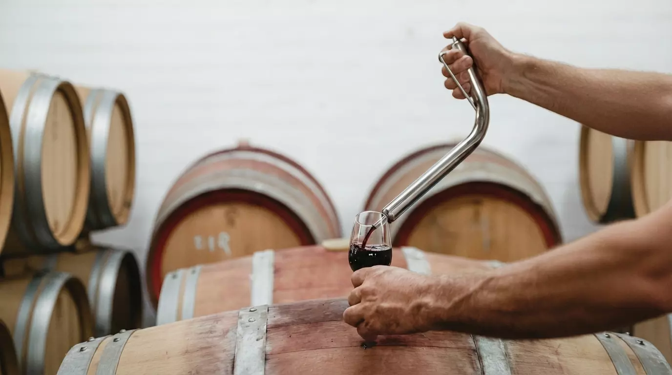 Wine Tasting & Cheese Platter for 2 or 4 with Optional Bottle of Wine