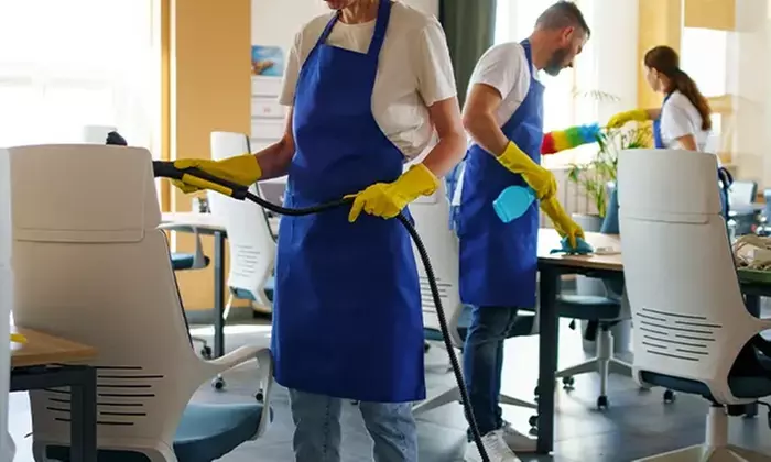 House, Rug & Sofa Cleaning: 2-Hr Basic, 8x10 Rug & Upholstery Care