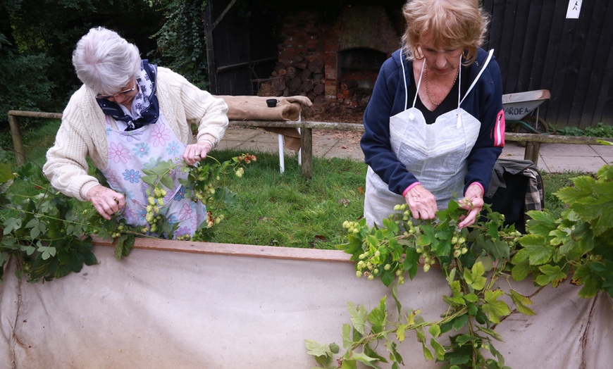 Image 7: Up to 36% Off Hops ‘n’ Harvest Festival at Kent Life – Sept 13–14!