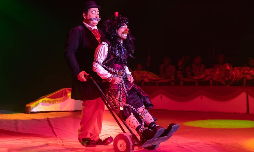 Image 2: Cirque Nicolas Bouglione à Namur : au cœur de l’émotion et de la magie