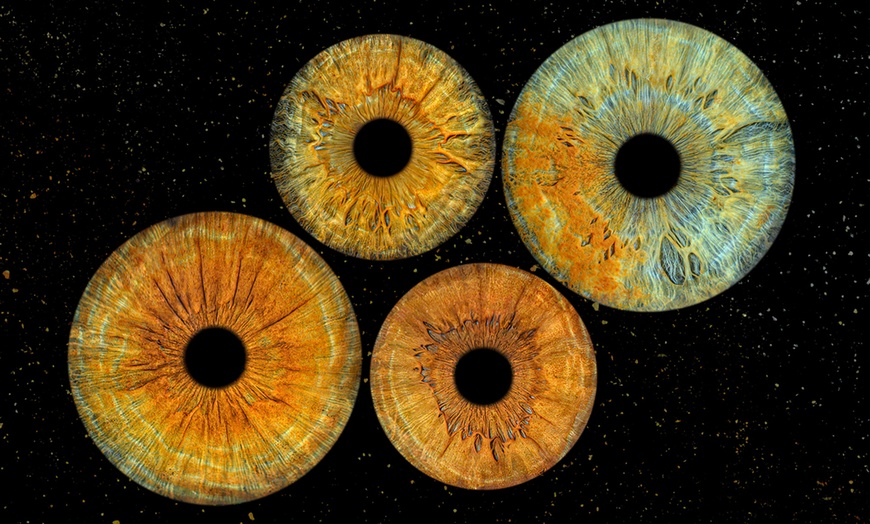 Image 9: Zachowaj historię w spojrzeniu – unikalne zdjęcie tęczówki oka