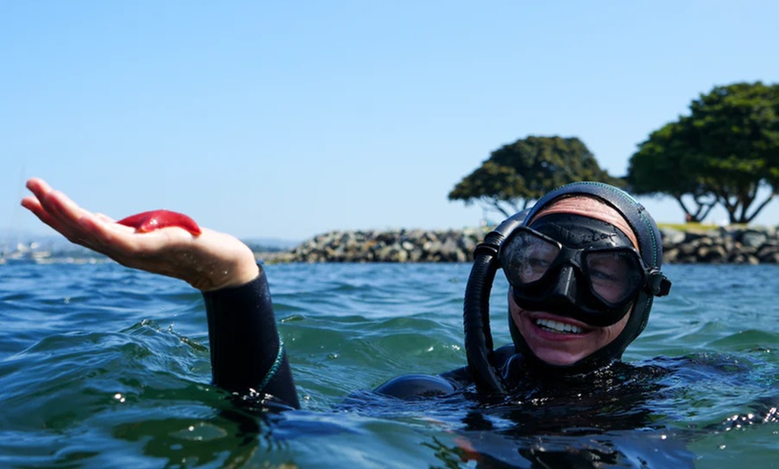 Image 1: Up to 36% Off on Snorkeling at Just Get Wet
