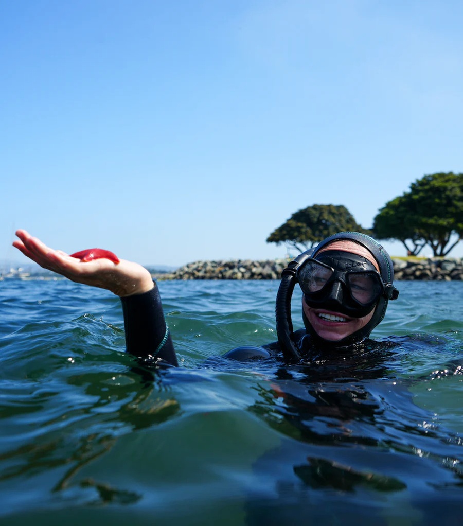 Up to 36% Off on Snorkeling at Just Get Wet