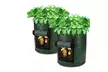 2-4 Pack DIY Potato Grow Planter PE Cloth Planting Container Bag Thicken Garden - Second Medium
