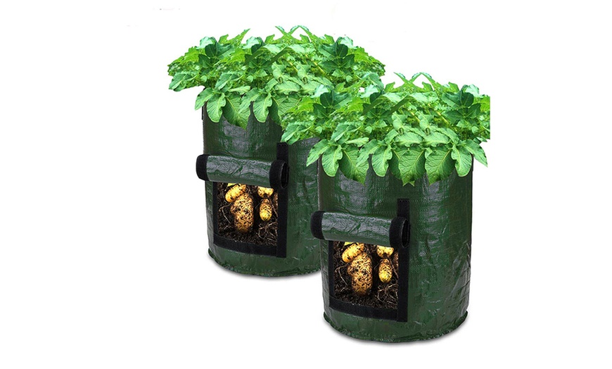 Image 3: 2-4 Pack DIY Potato Grow Planter PE Cloth Planting Container Bag Thicken Garden
