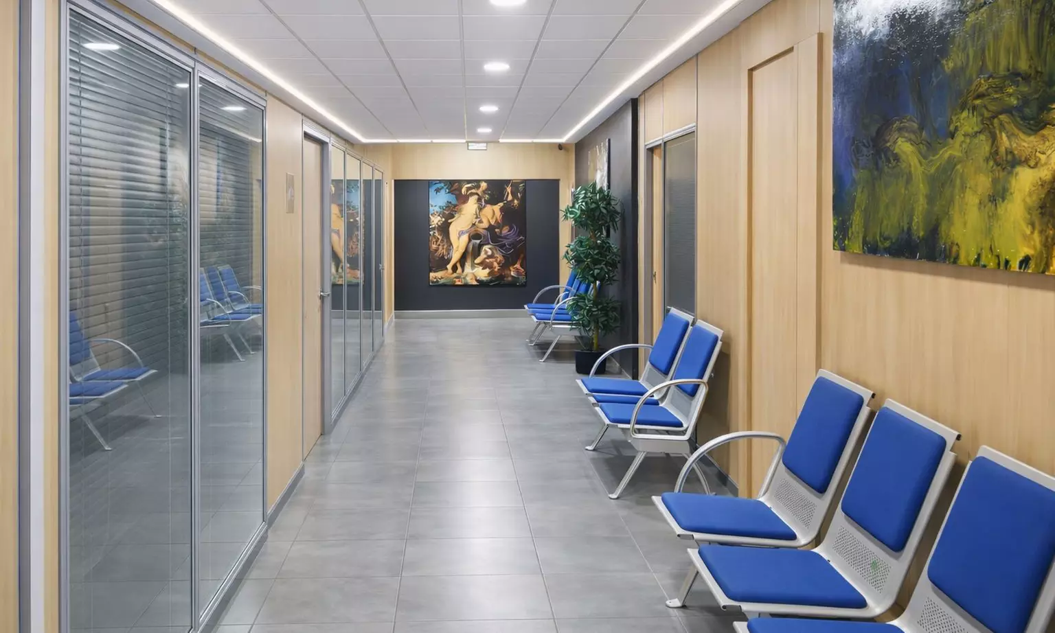 Mesoterapia inyectada en 1, 2 o 3 zonas a elegir para 1 persona