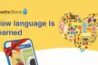 Gift the World: Rosetta Stone Language Courses (3, 12-Month, or Unlimited Lifetime Options Available) - Second Medium