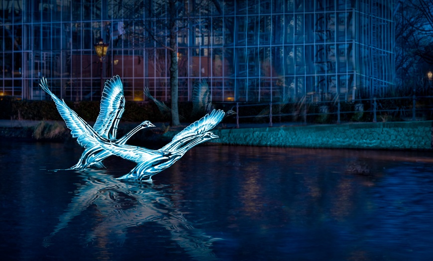 Image 8: Betoverende avondtocht vol licht, kunst en gezelligheid op het water